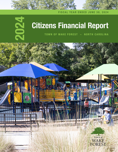 Popular Annual Financial Report