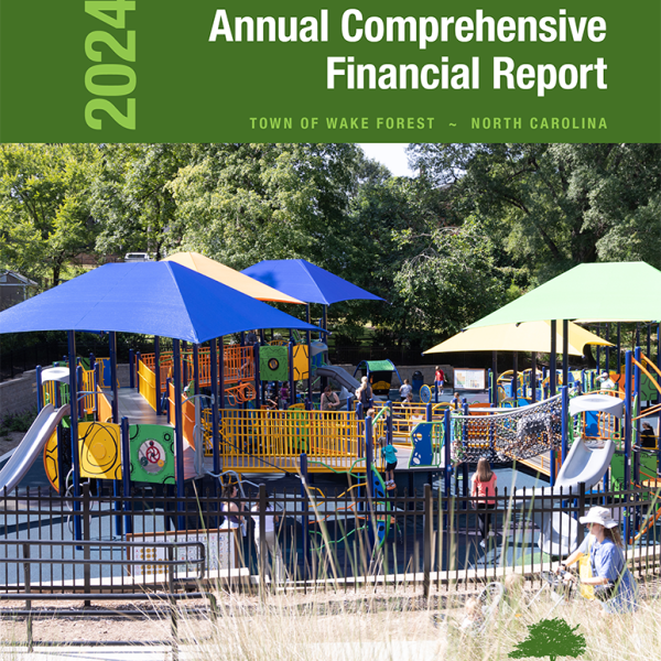 Annual Comprehensive Financial Report