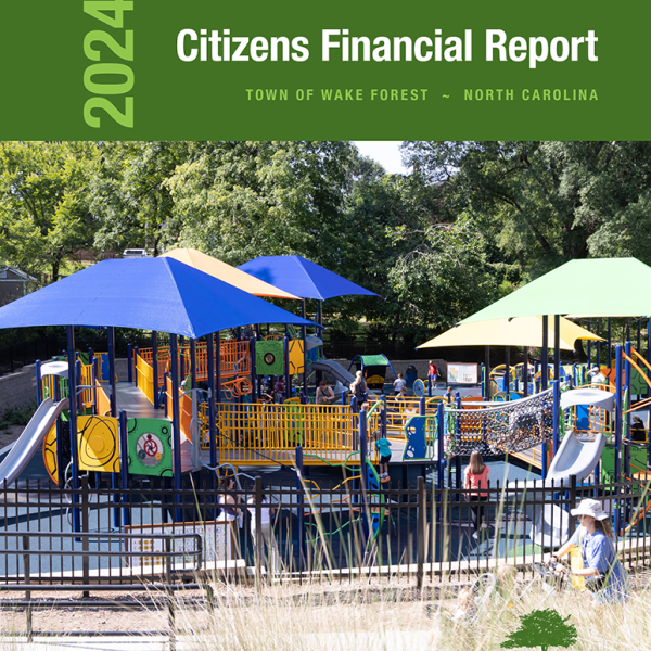 Popular Annual Financial Report
