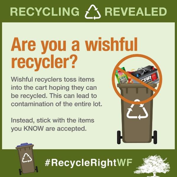 Wishful Recycling