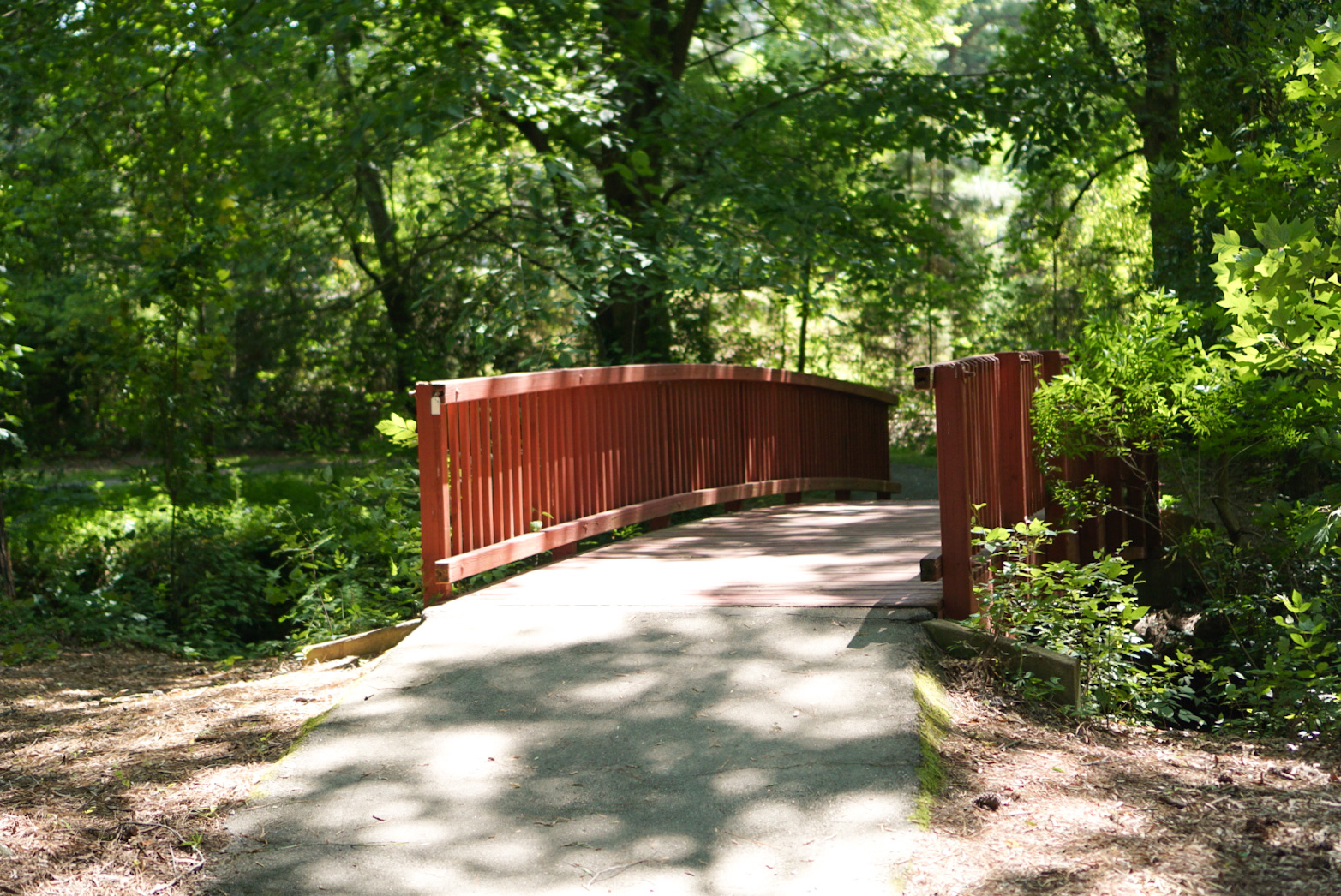 Bridge