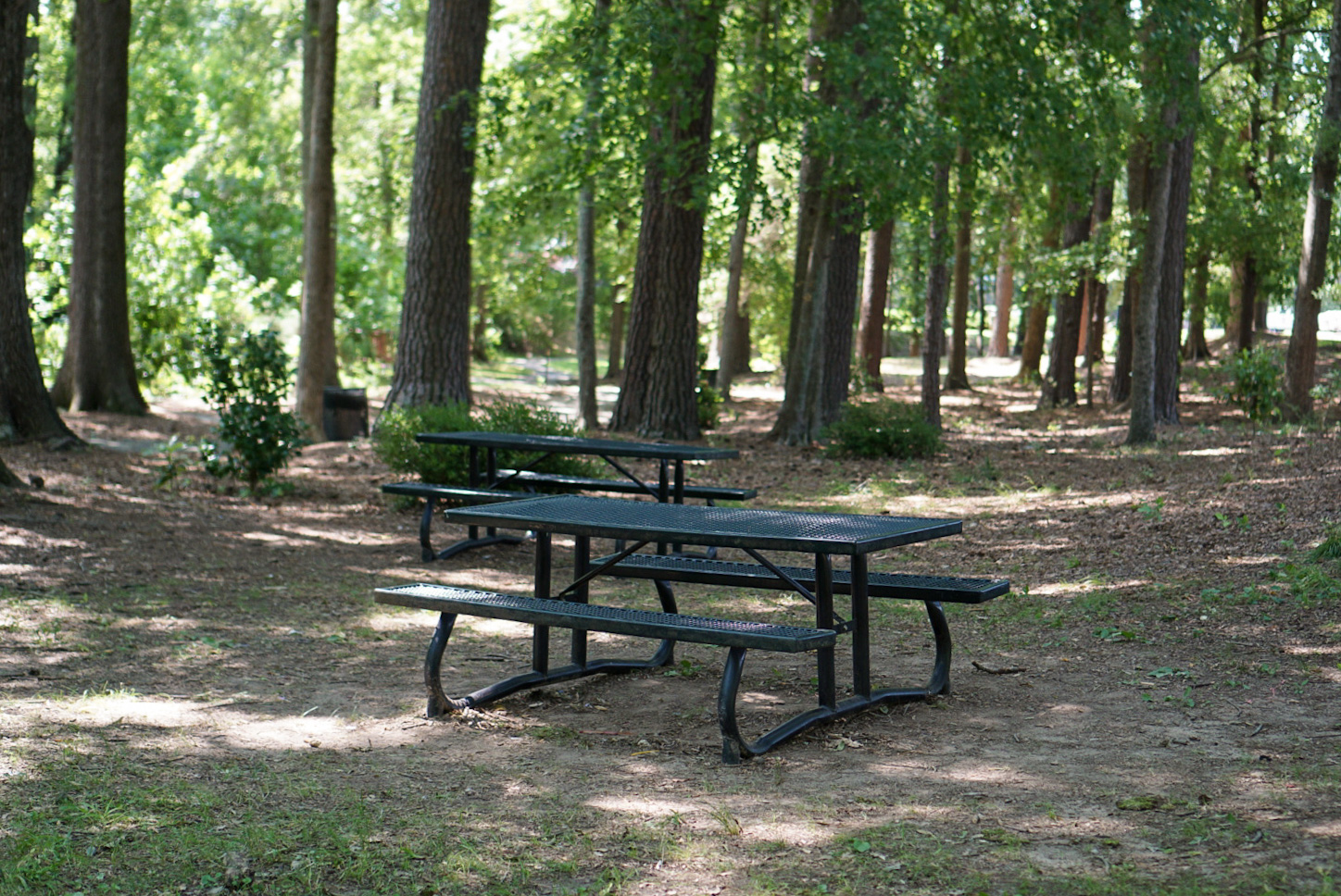 Picnic Tables