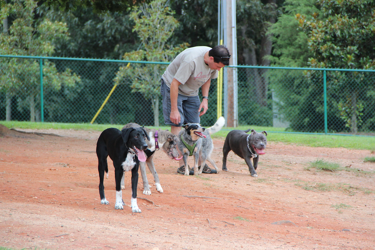 Flaherty Dog Park