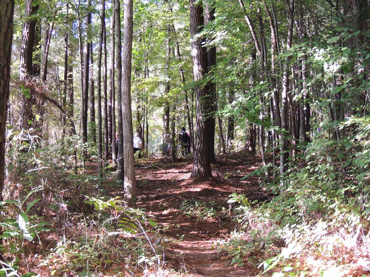 Trails